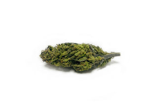 Charlequin™ Hemp Flower 'Patience'